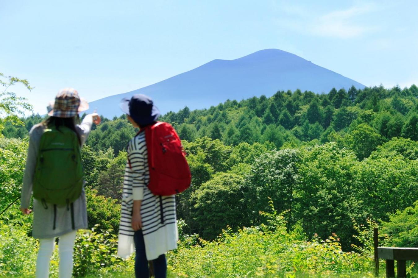 Ana Holiday Inn Resort Karuizawa By Ihg Kitakaruizawa Ngoại thất bức ảnh